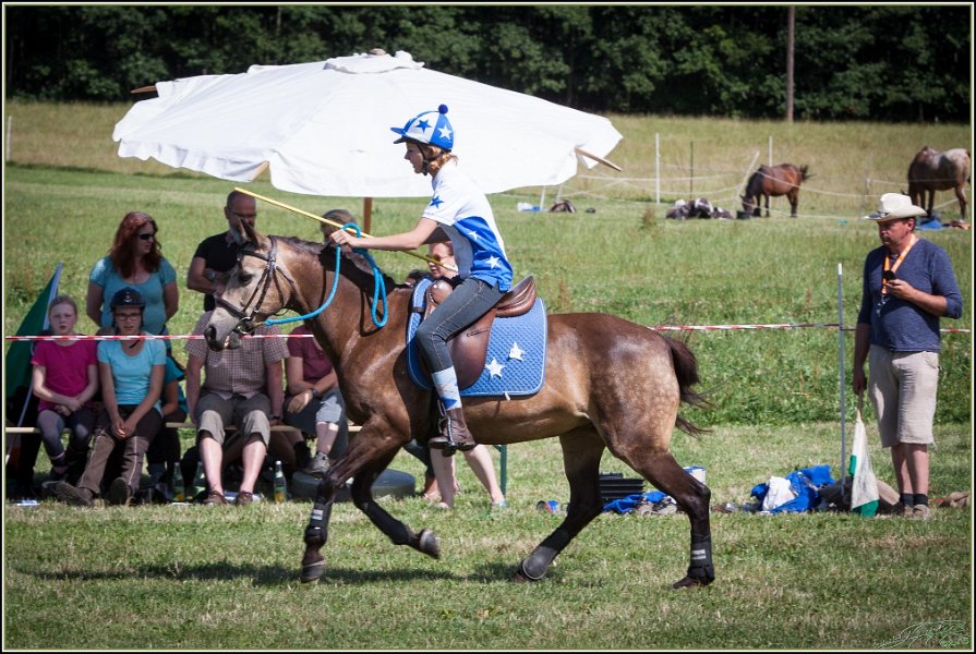Mounted Games 292